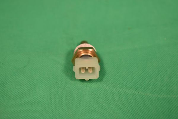 Thermofühler in Wasserstutzen X1/9